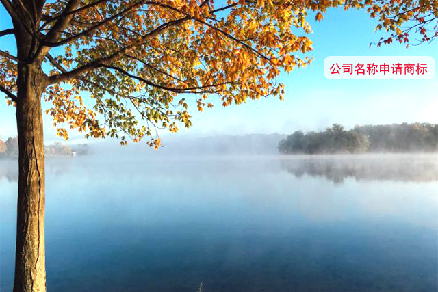 公司名稱和商標(biāo)有什么不同? 公司名稱和商標(biāo)有什么不同?